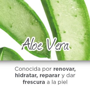 garnier-bio-antitranspirante-aloe-vera